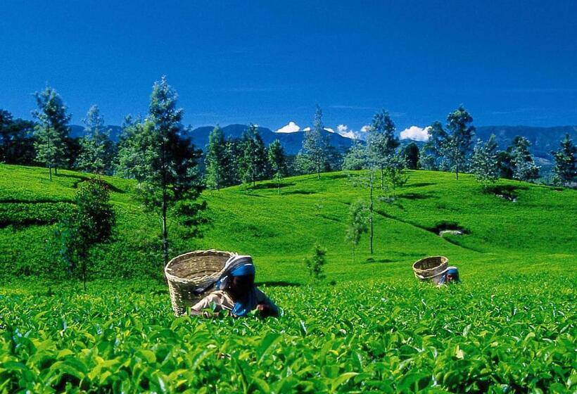 בית מלון כפרי Oakray Summer Hill Breeze