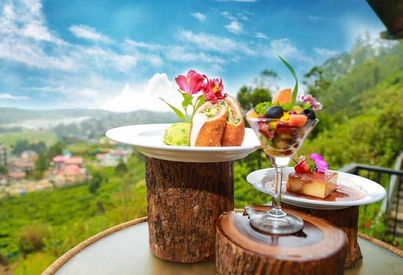 בית מלון כפרי Oakray Summer Hill Breeze