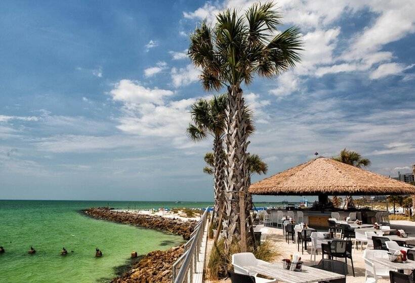 בית מלון כפרי Opal Sands