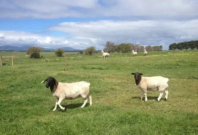 Отель Promhills Cabins