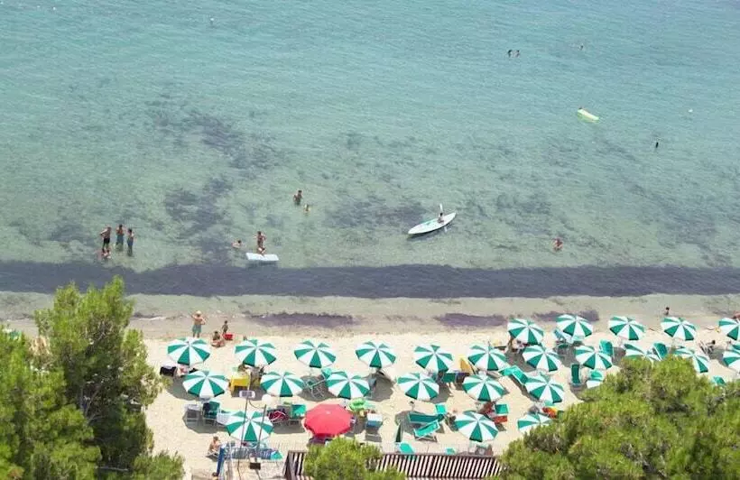 فندق Punta Licosa