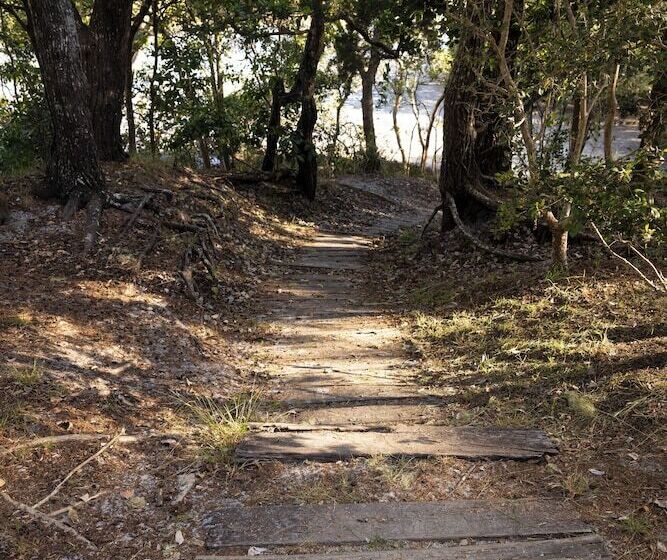 ホテル Reflections Brunswick Head Holiday Park