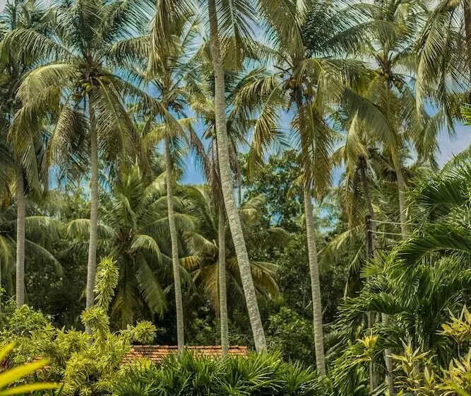 Hotel Sakura Villa Bentota
