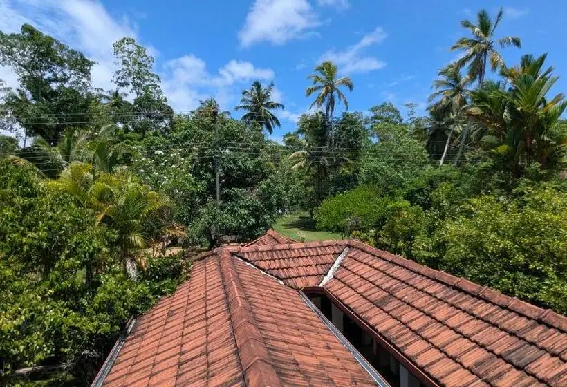 ホテル Sakura Villa Bentota