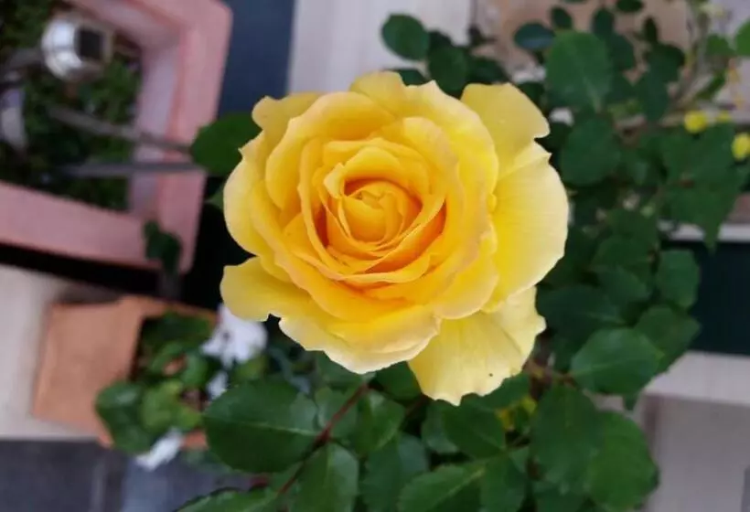 בית מלון כפרי Water Bay Villa Bed And Breakfast