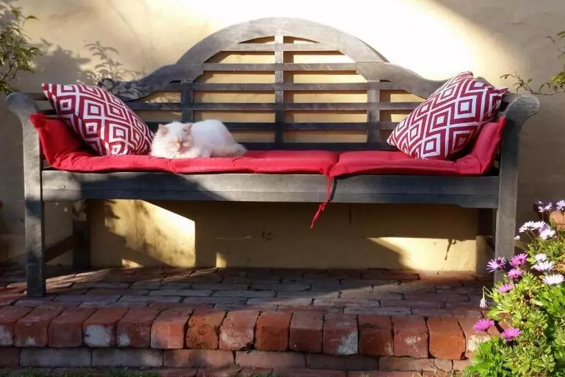 בית מלון כפרי Water Bay Villa Bed And Breakfast