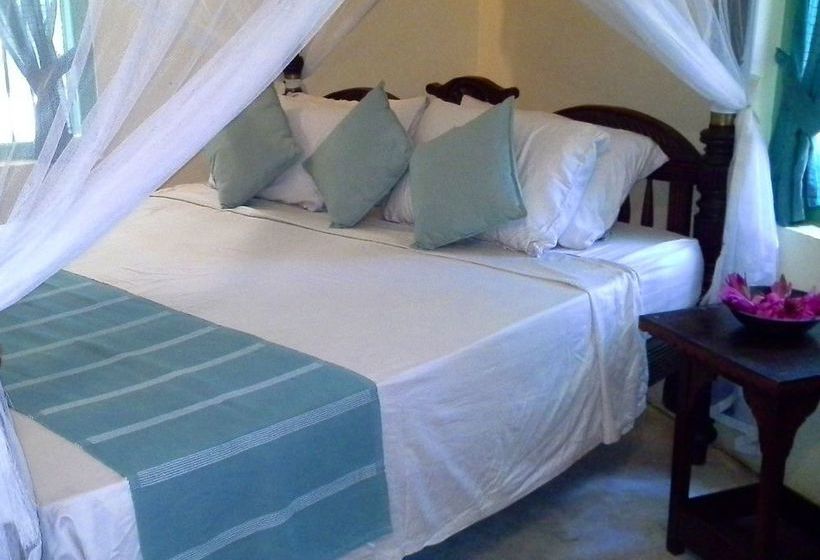 Cadjan Sacred Anuradhapura