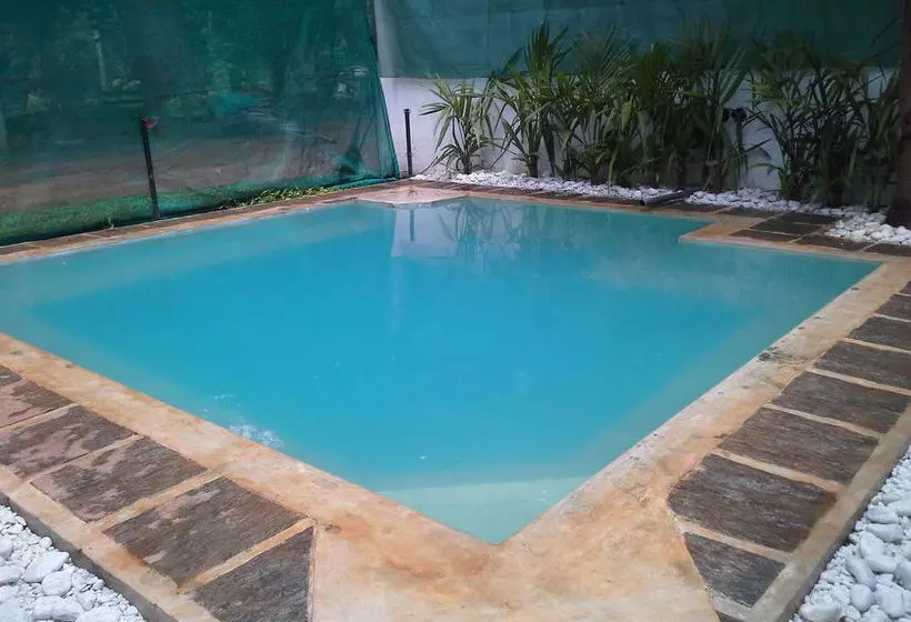 Cadjan Sacred Anuradhapura