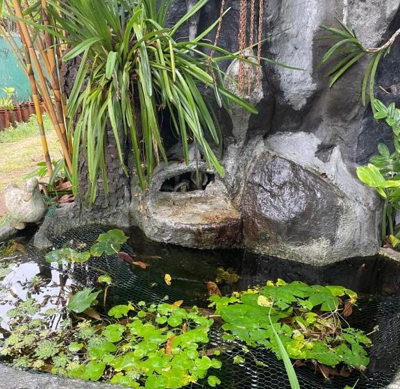 ペンション Rock Cascade Tourist Home &cookery School