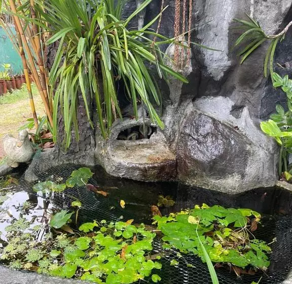 膳宿费 Rock Cascade Tourist Home &cookery School