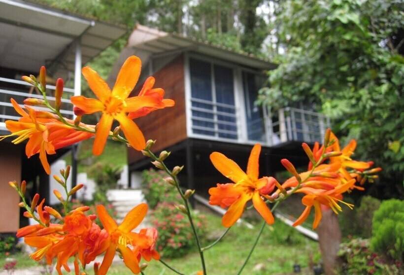 فندق J Residence