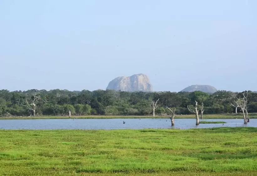 ホテル Jetwing Jungle Lodge