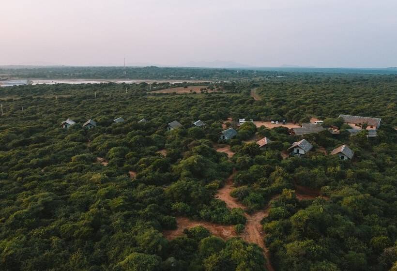 בית מלון כפרי Jetwing Jungle Lodge