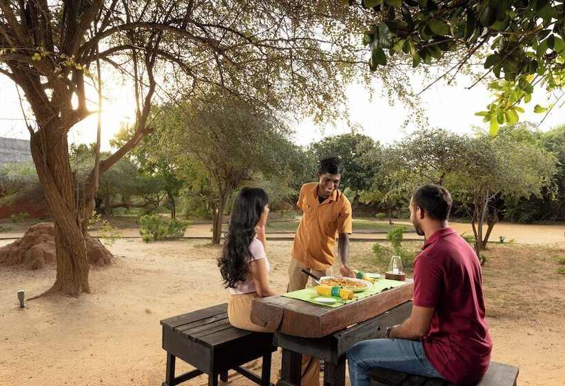 בית מלון כפרי Jetwing Jungle Lodge