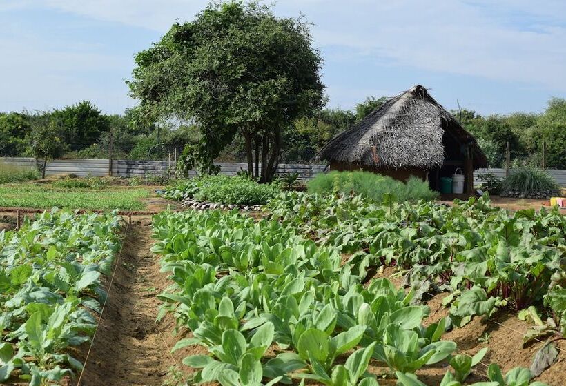 בית מלון כפרי Jetwing Jungle Lodge