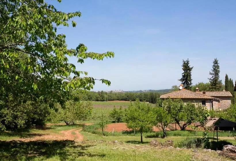 Отель Novelleto