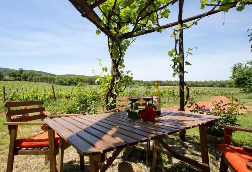 Отель Novelleto