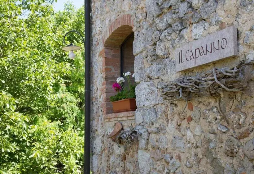 Отель Novelleto