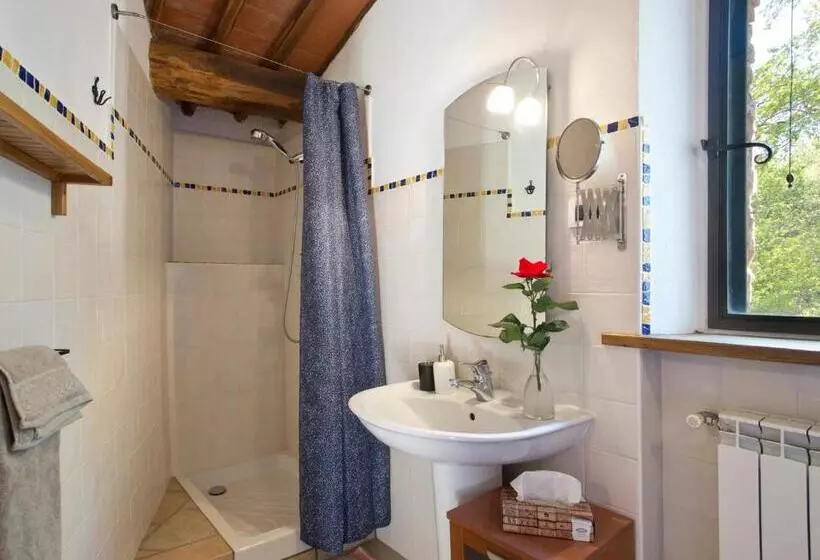 Отель Novelleto