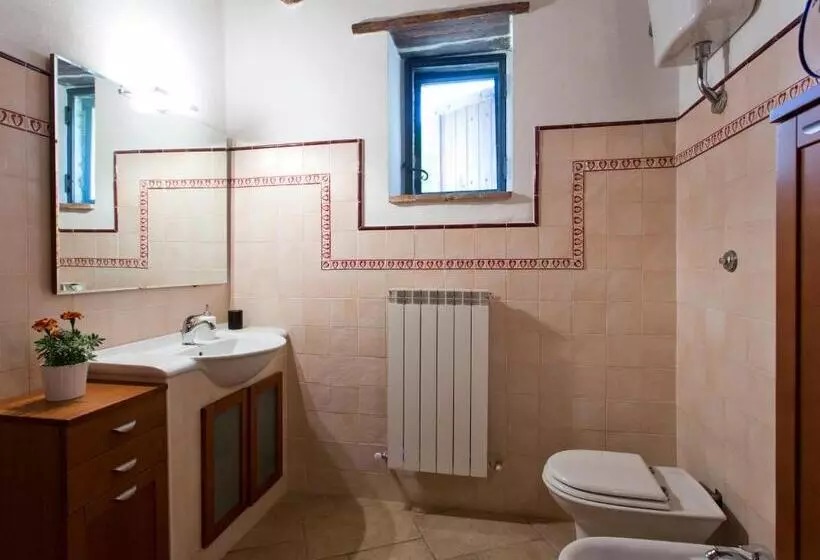 Отель Novelleto