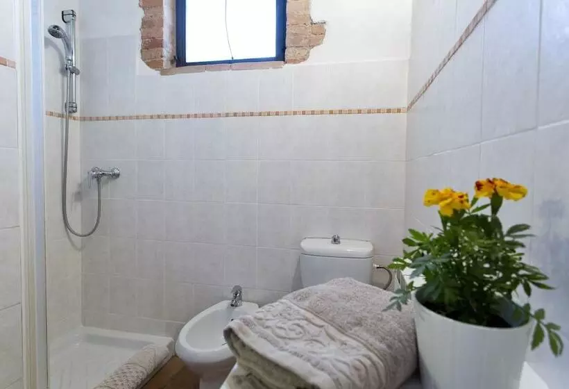 Отель Novelleto