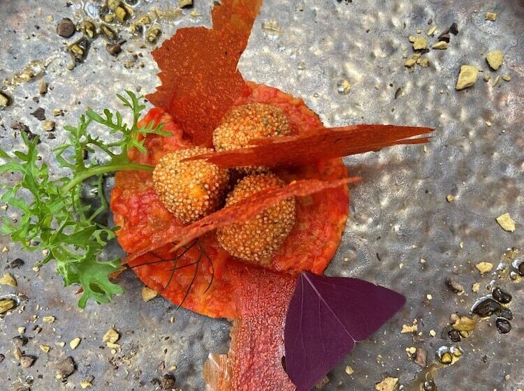 Пансион Victoria Square & The Orangery