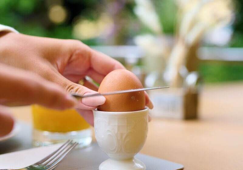 Pension Ferienwohnungen Zollner