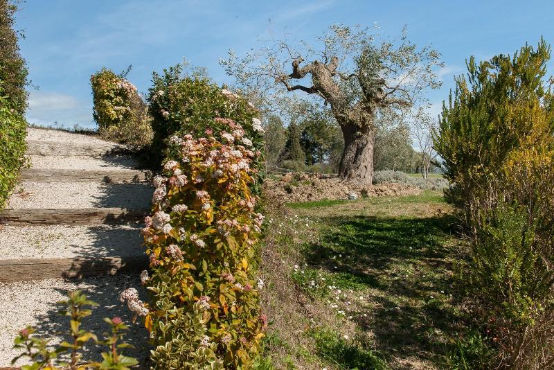 Villa Coralia Agriturismo