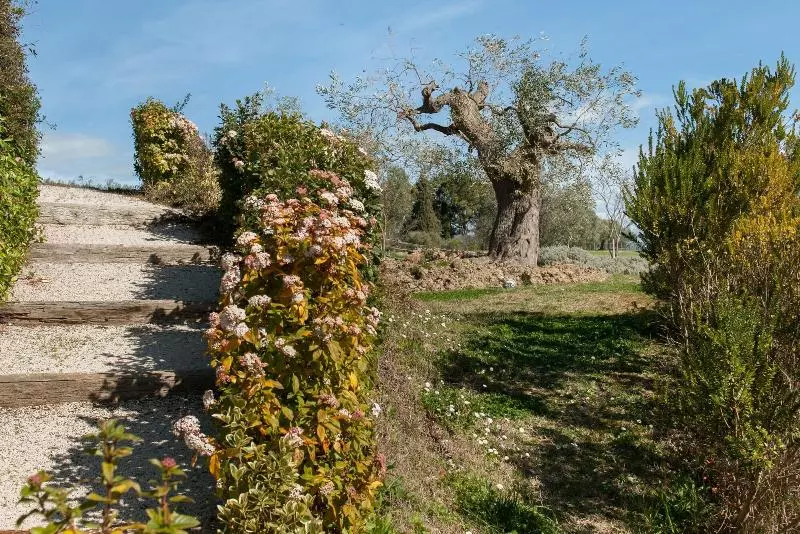 Villa Coralia Agriturismo