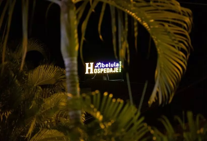 مسافرخانه Libelula