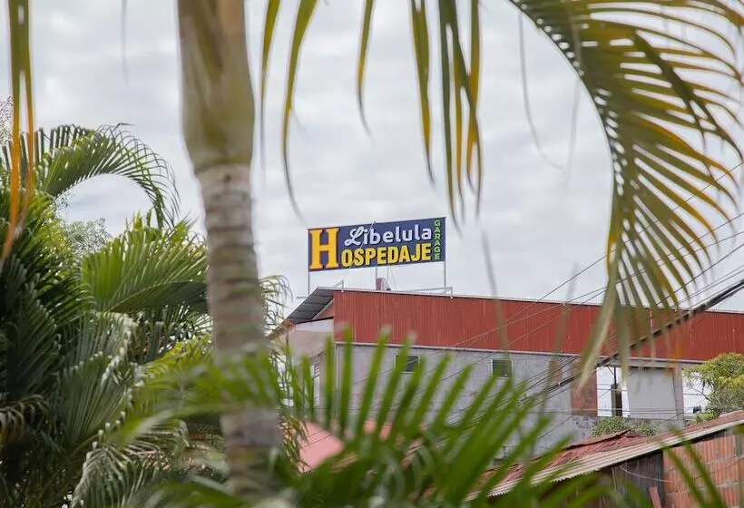 مسافرخانه Libelula