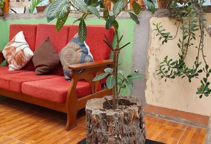 مسافرخانه Libelula