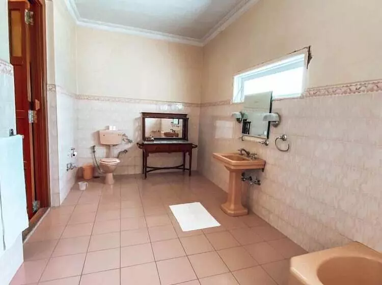 ホテル Nilambag Palace