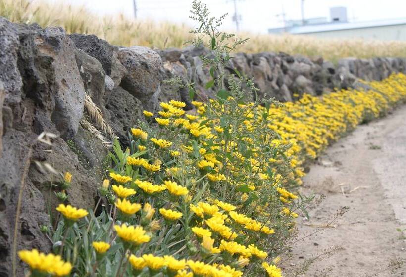 Alberg Gillime Pension