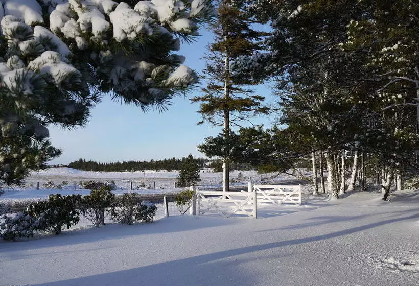 Bed and Breakfast Dava School House