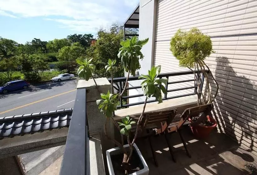 تختخواب و صبحانه Pine Sea And Flower Hostel