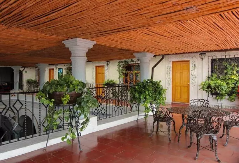 فندق Anua Oaxaca