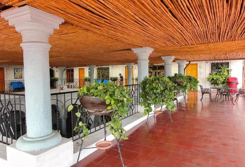 فندق Anua Oaxaca