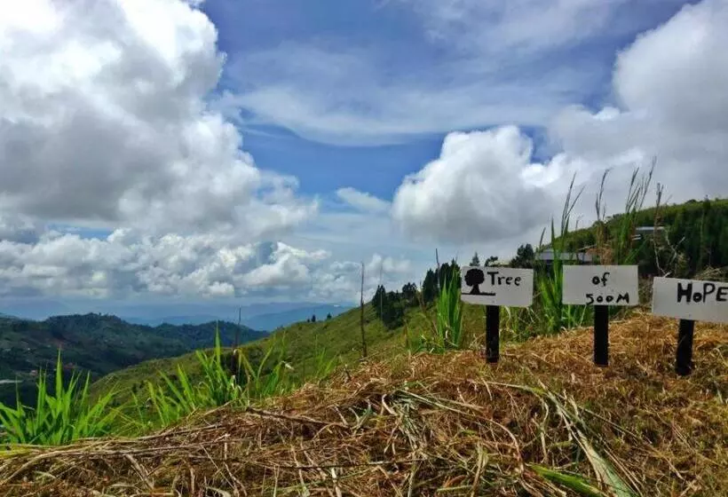 هتل Crystal Hill R