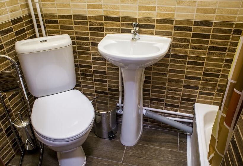 Отель Dom Romanovykh Mini