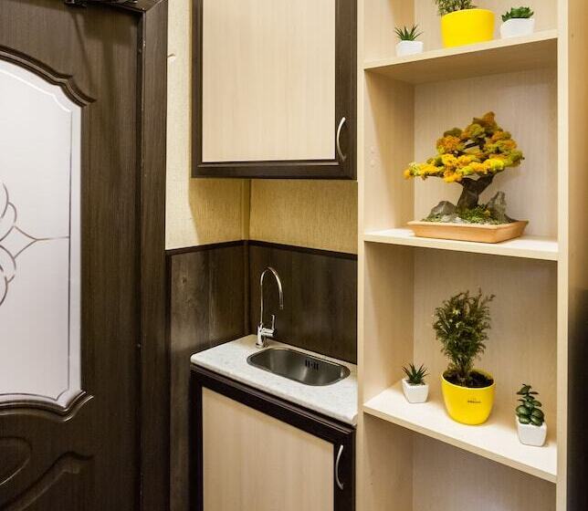 Отель Dom Romanovykh Mini