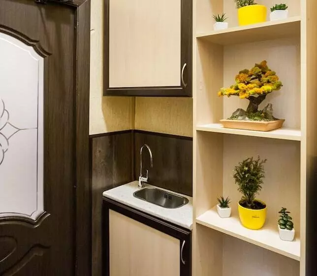 Отель Dom Romanovykh Mini