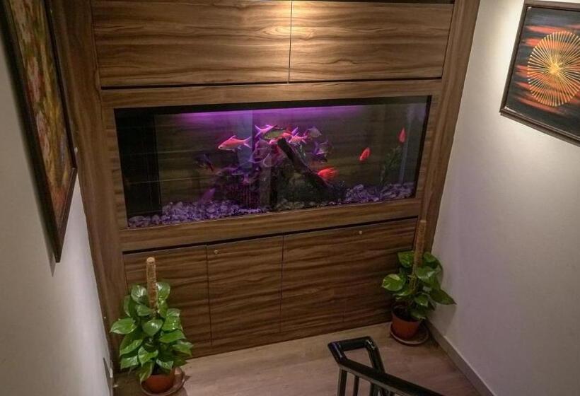 Отель Highlanders