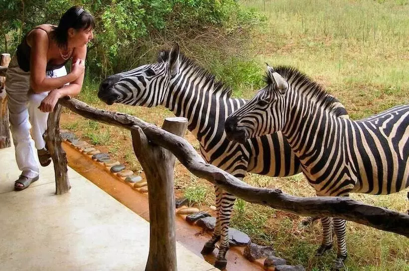 Отель Leopard Walk Lodge