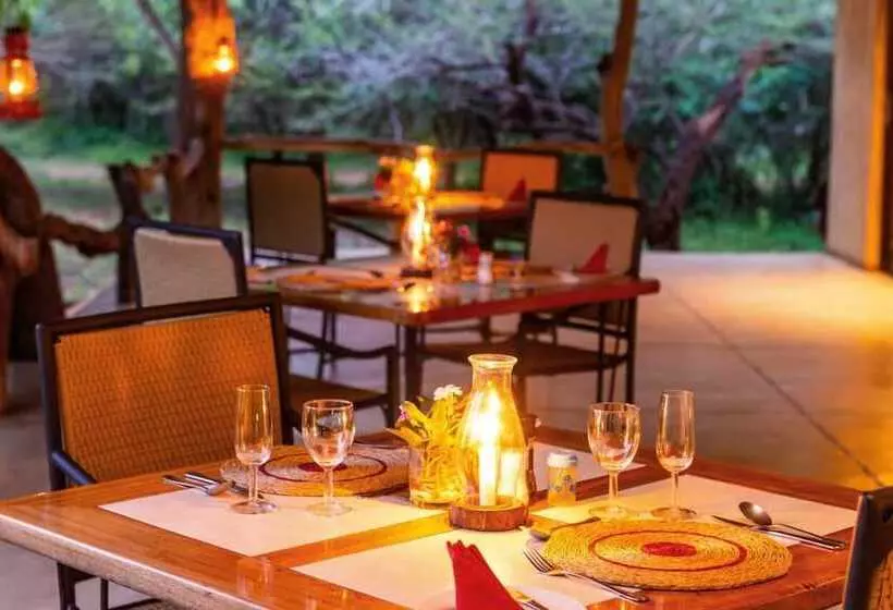 Отель Leopard Walk Lodge