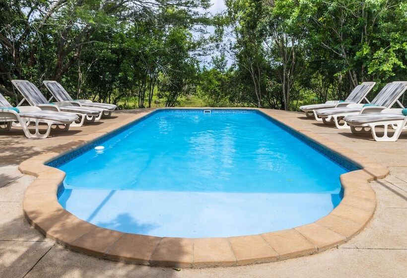 ホテル Leopard Walk Lodge