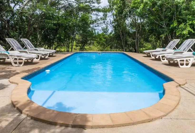 Отель Leopard Walk Lodge