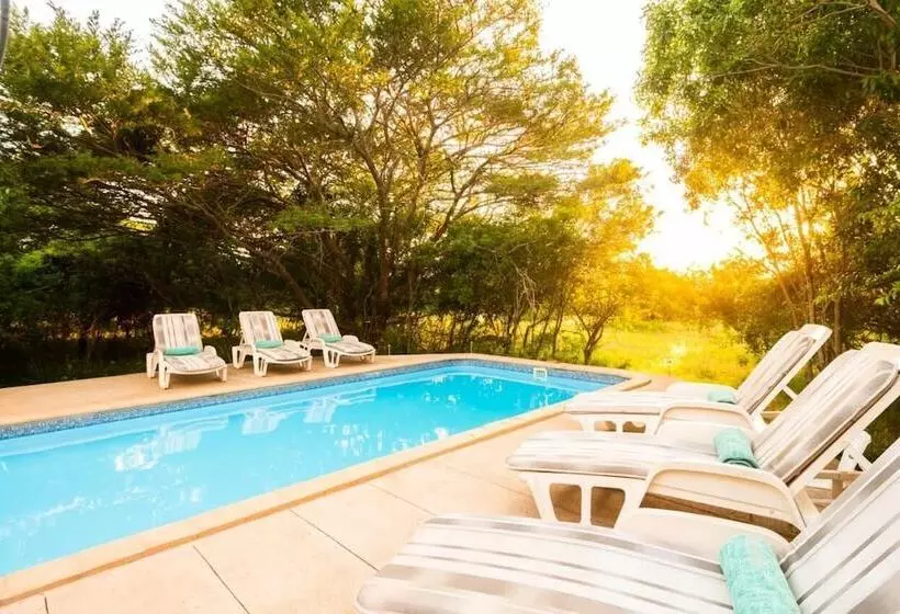 Отель Leopard Walk Lodge