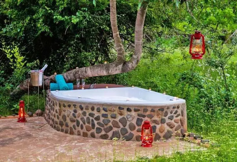 Отель Leopard Walk Lodge