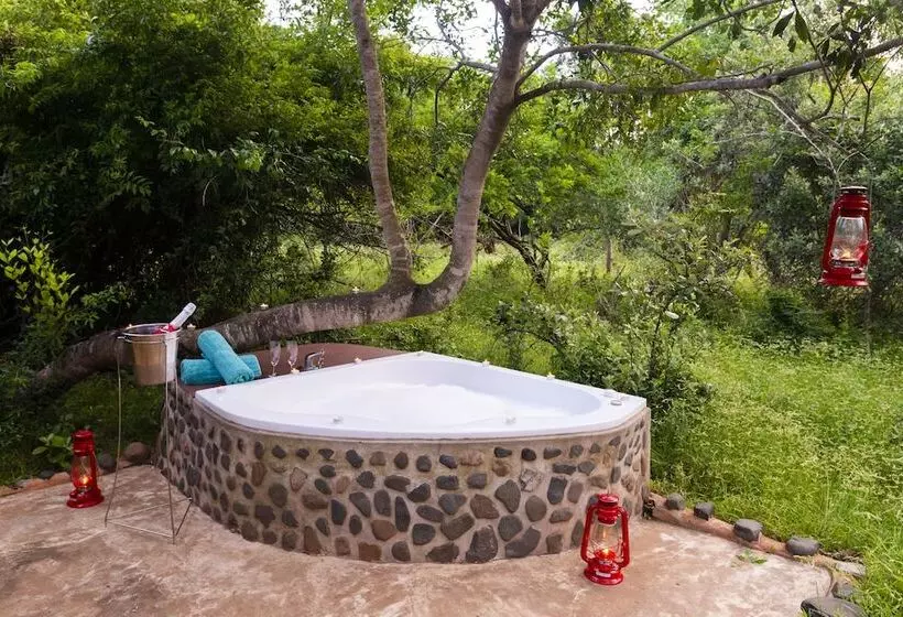 Отель Leopard Walk Lodge